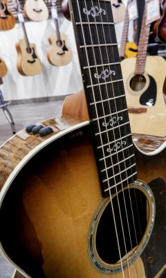 Taylor Guitars - Special Edition 414ce Rosewood Grand Auditorium Acoustic/Electric Guitar - Shaded Edge Burst 4